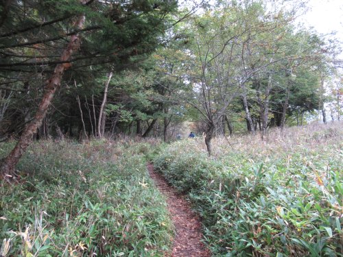 登山道
